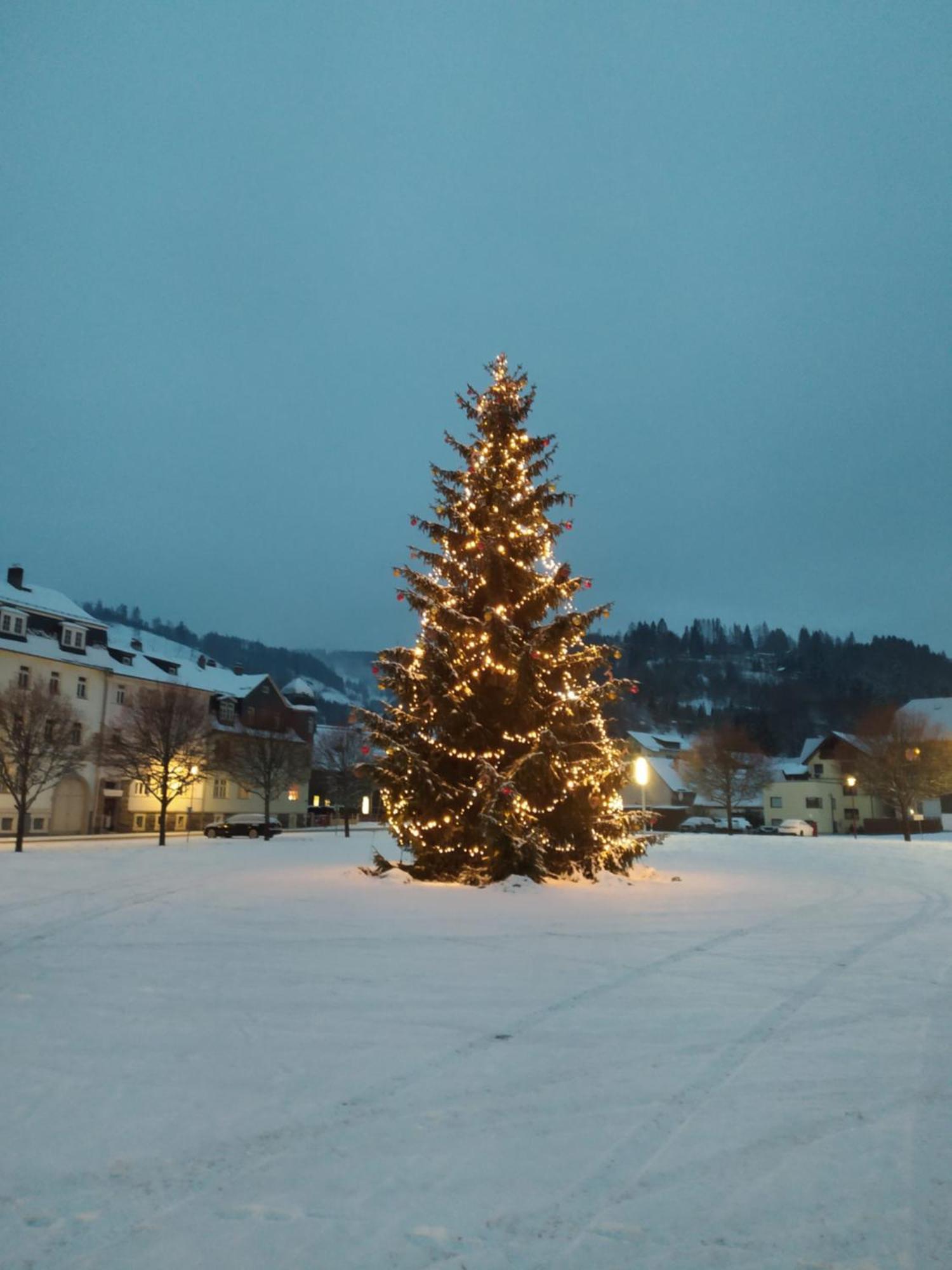 Ferienwohnung Steinachblick ชไตนัค ภายนอก รูปภาพ