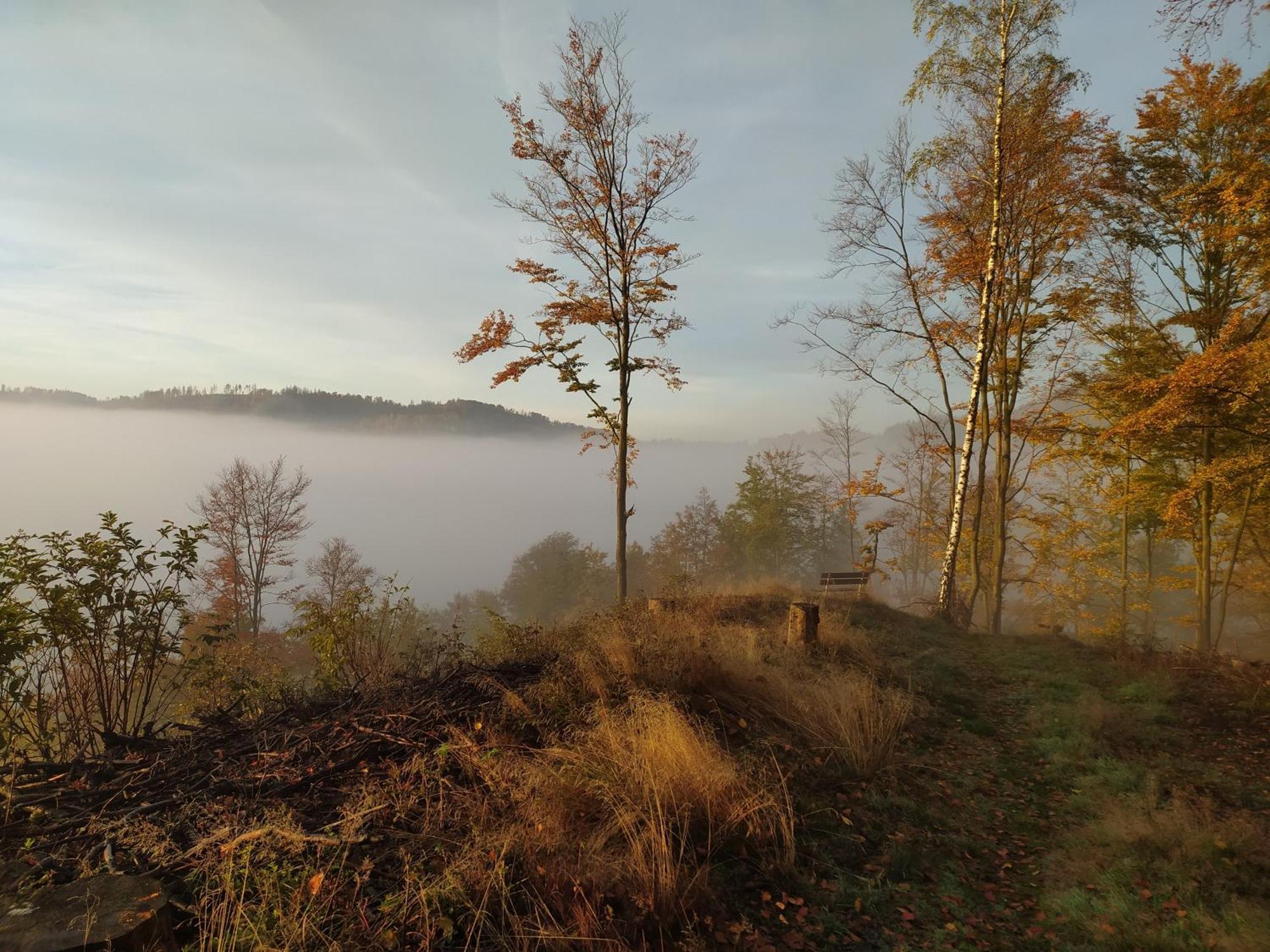 Ferienwohnung Steinachblick ชไตนัค ภายนอก รูปภาพ